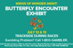 Butterfly Encounter Exhibit